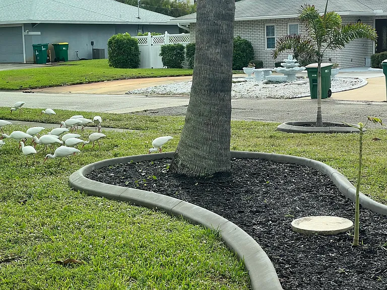 front yard