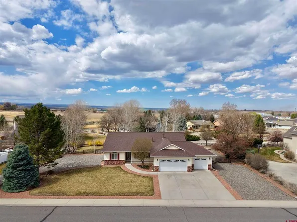 2033 Otter Pond Circle, Montrose, CO 81401
