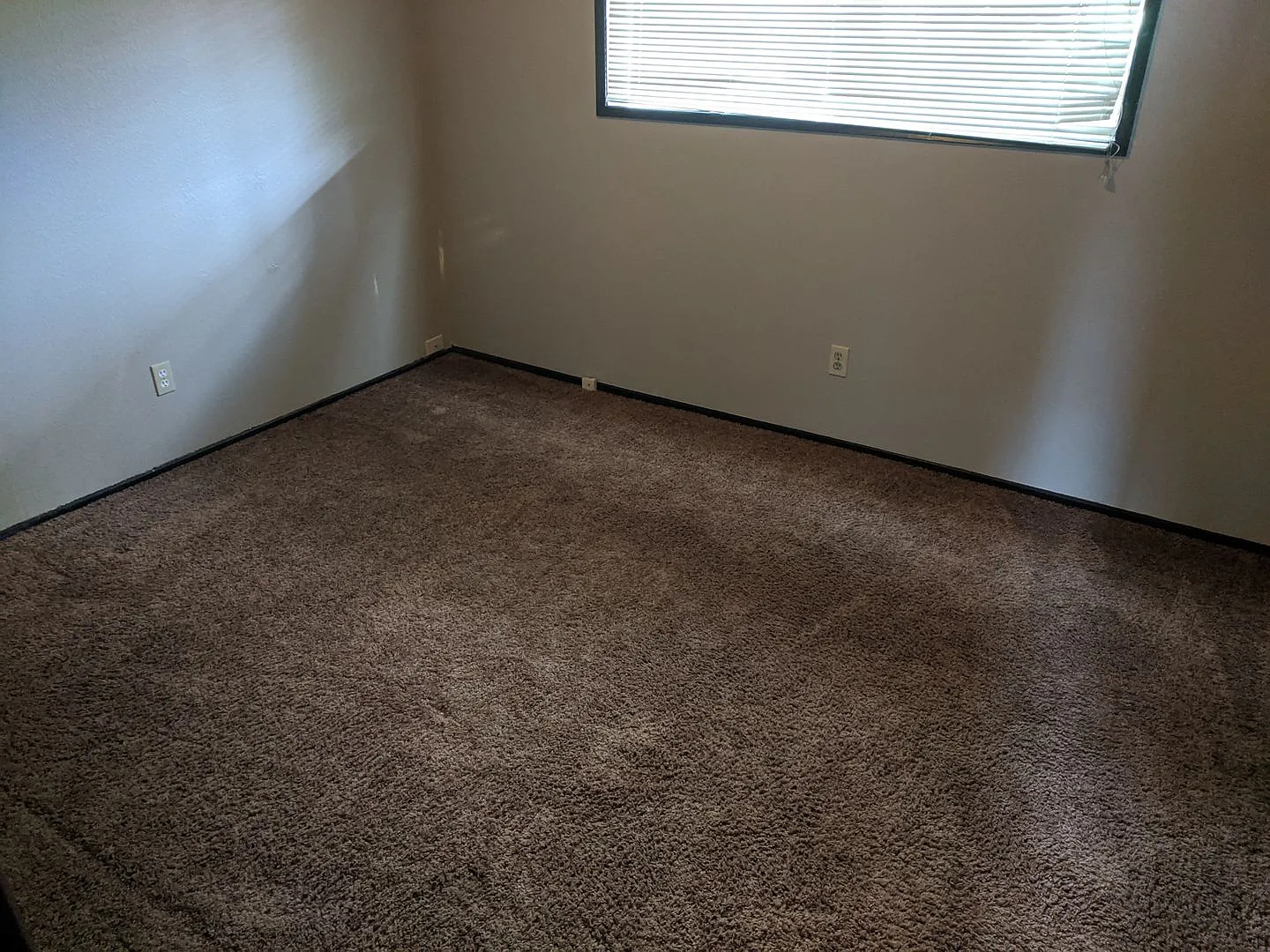 WA811 — Photo 1