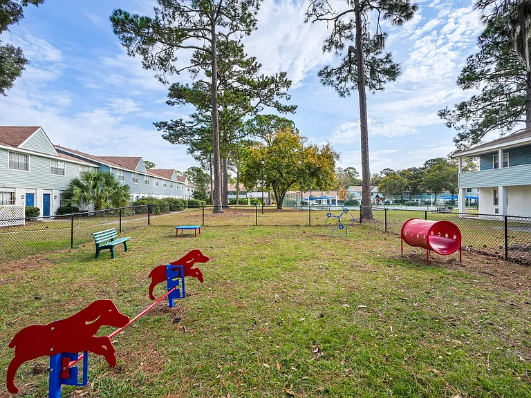 Dog Park