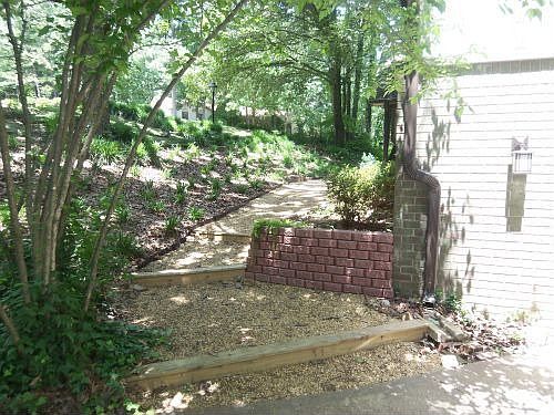 East side of lawn