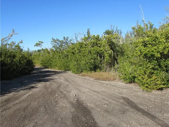 13686 Ficus Tree Ln, Bokeelia, FL 33922