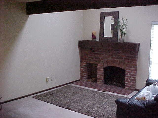 Wood Burning Fireplace