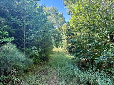 4 Moms Fls, Topton, NC, 28781