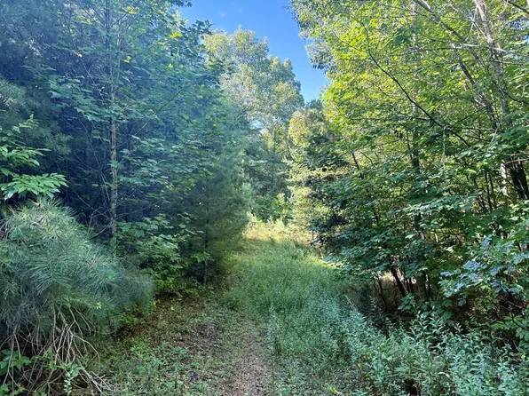 4 Moms Fls, Topton, NC 28781