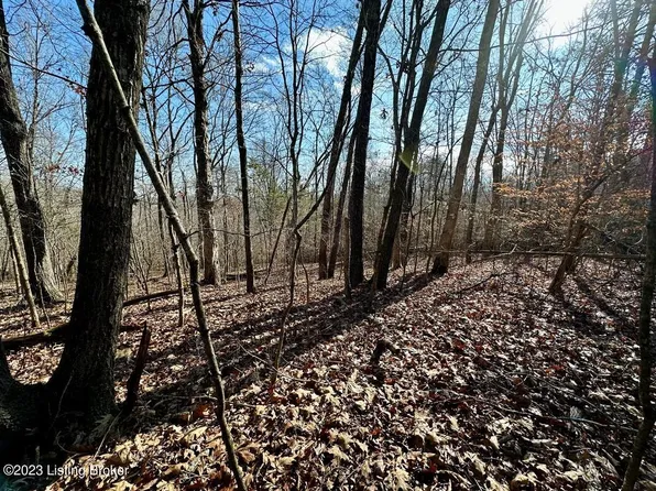 L59 Ted Logsdon Rd, Clarkson, KY 42726
