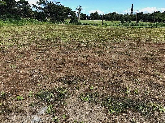 1st image of 3052 Lou St Lot 16