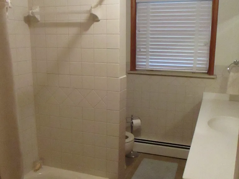 HALLWAY BATHROOM