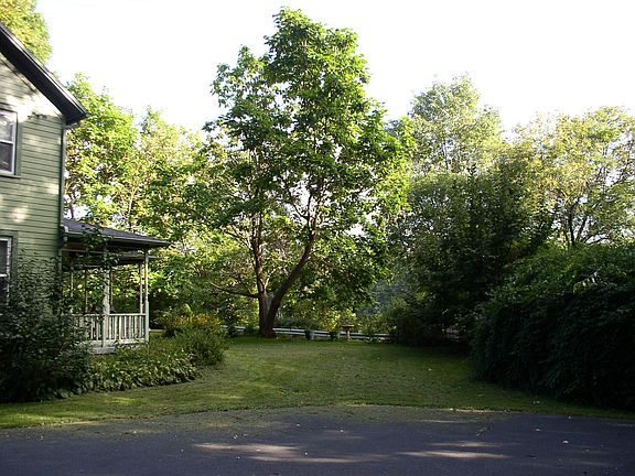Front Yard- side view