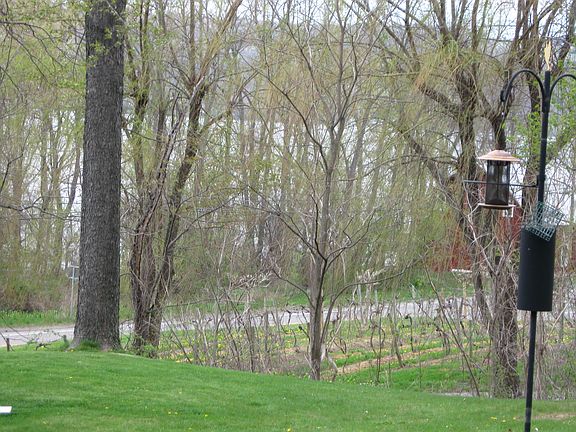 5th image of 1 White Tail Ln