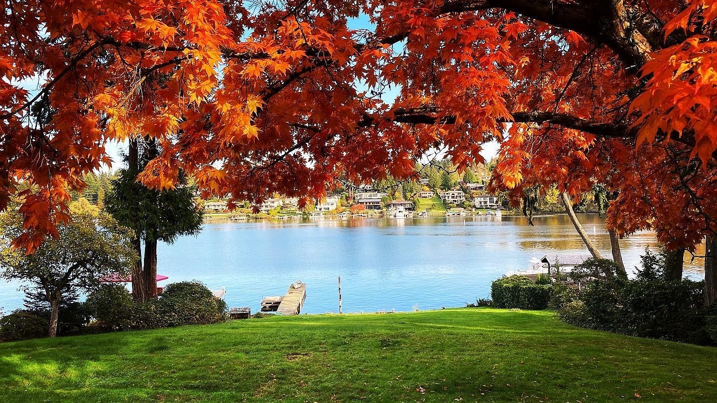 3422 Hunts Point Rd, Bellevue, WA 98004 | Zillow