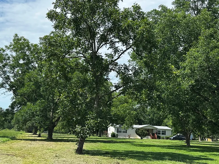 Front yard view of home. 108 mature pecan trees cover entire property.