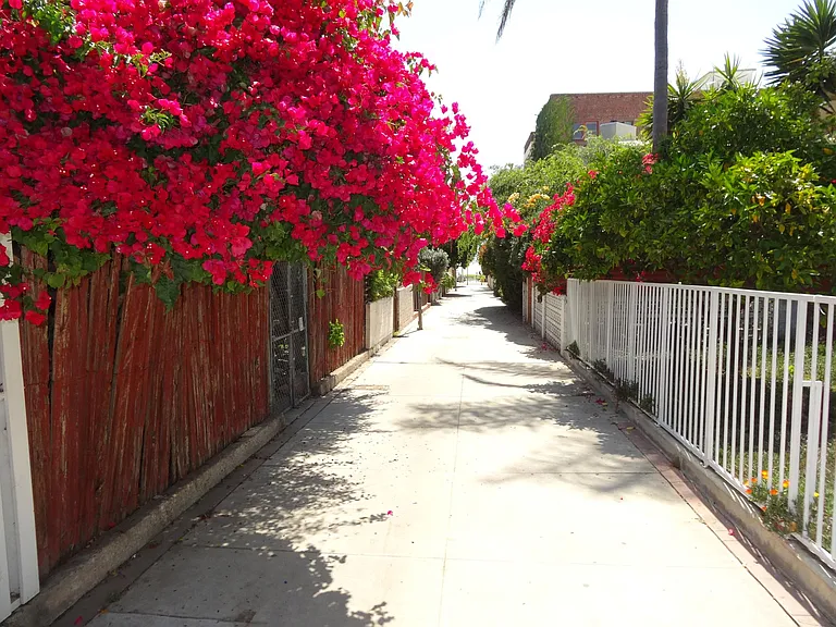 48 Paloma Ave #5 — Photo 24