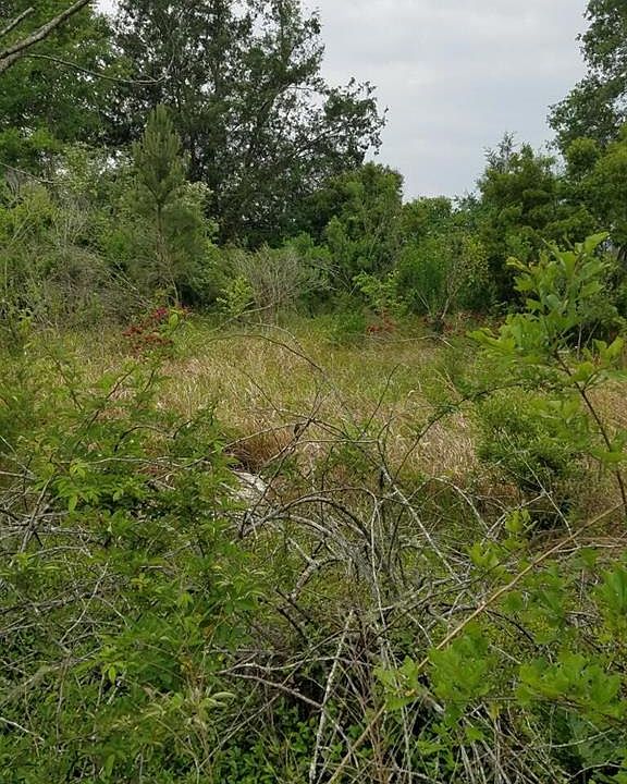 1st image of 24309 Haynes Ct