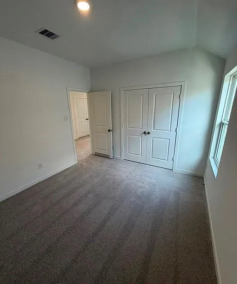 12618 Blue Catfish Ln — Photo 17