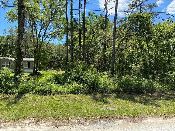 5th image of 36064 Butternut Dr