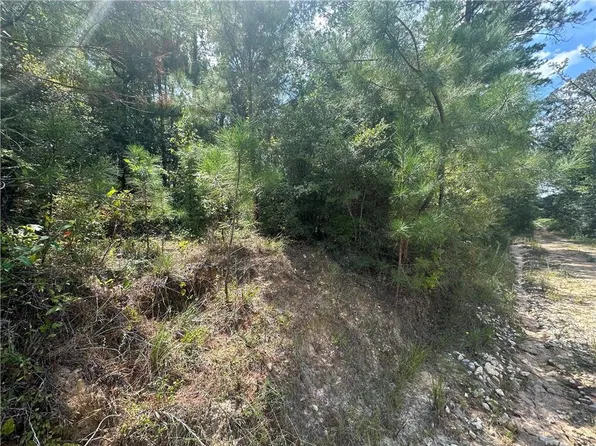 Tom Moore Rd, Leesville, LA 71446