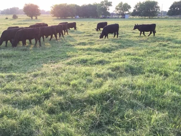 County Road 2322, Sulphur Springs, TX 75482