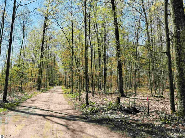 160 Hidden Meadow Trl, Beulah, MI 49617