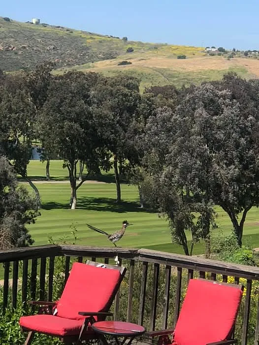4 bed, 2500 sqft, $2,000 — Photo 3