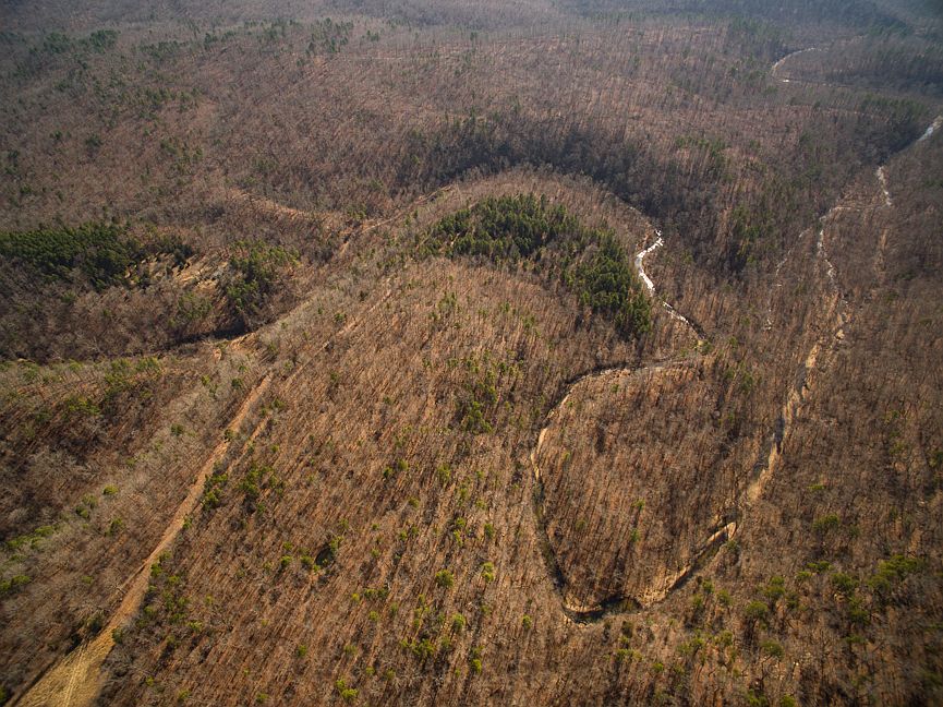 1st image of Tbd Forest Service Rd #1080
