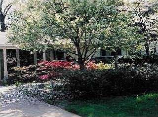 2nd image of 3726 Edinborough Dr