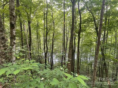 200 Sweet Birch Ln, Tuckasegee, NC, 28783