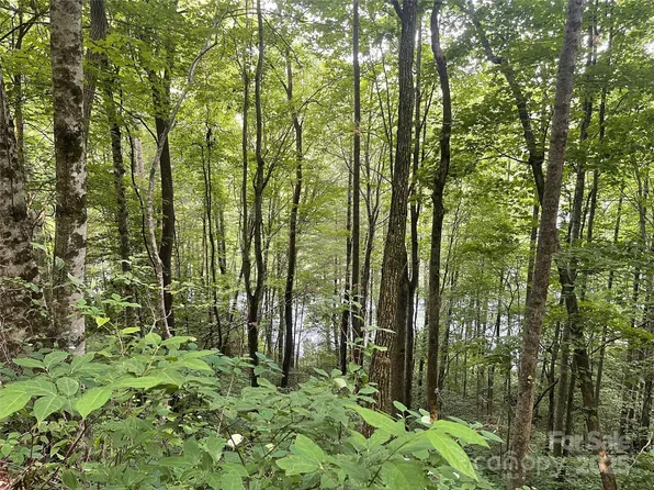 200 Sweet Birch Ln, Tuckasegee, NC 28783