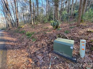 717 Coyote Hollow Rd #66, Waynesville, NC 28785