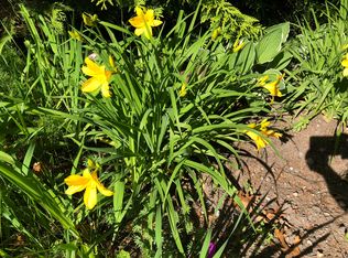 6 Ploughed Neck Rd, East Sandwich, MA 02537