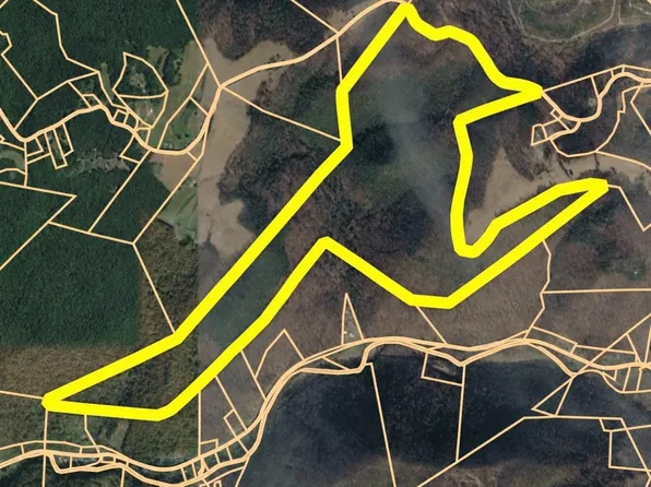 N Mill Creek Rd, Birch River, WV 26610