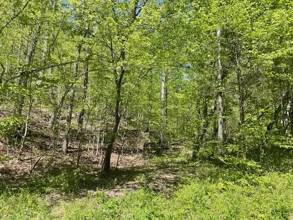 0 Stewart Branch Rd, Hurricane Mills, TN 37078