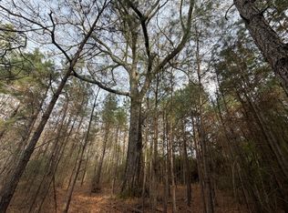 2 County Road 239, New Brockton, AL 36351