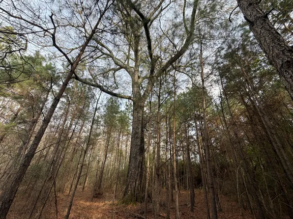 2 County Road 239, New Brockton, AL 36351