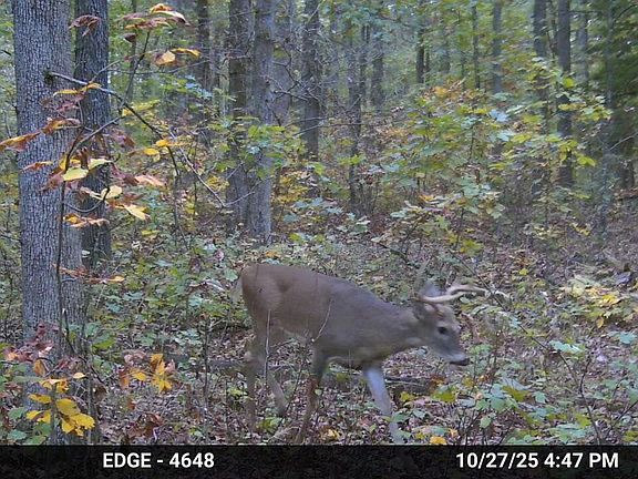 3rd image of 20476 E 1700 Road