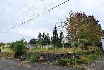 1st image of 1309 May Ave
