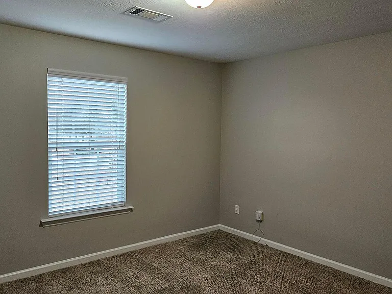 108 Brow Tine Ct — Photo 8