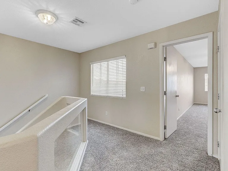 10115 Lemon Thyme St — Photo 28