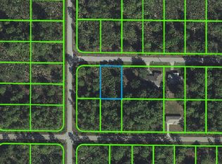 116 Conquest St NW, Lake Placid, FL 33852