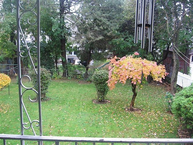 Pretty Yard