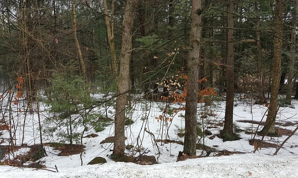 2nd image of 80 East Rd