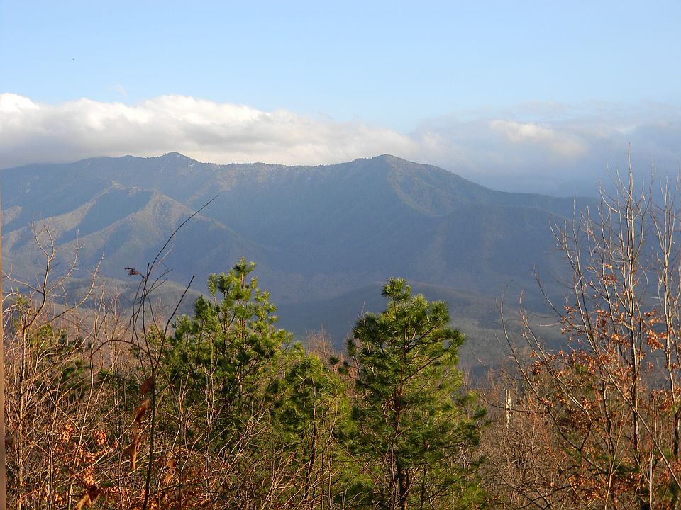 1st image of Piney Butt Way Lot 448