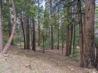 3099 Apache Rd, Arnold, CA 95223