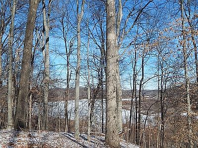 Cataract Lake View - winter