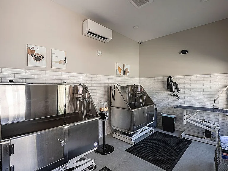 Pet Wash Stations