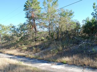 12156 Centralia Rd, Weeki Wachee, FL 34614