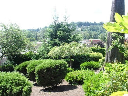 1st image of 11631 100th Ave NE APT 7A