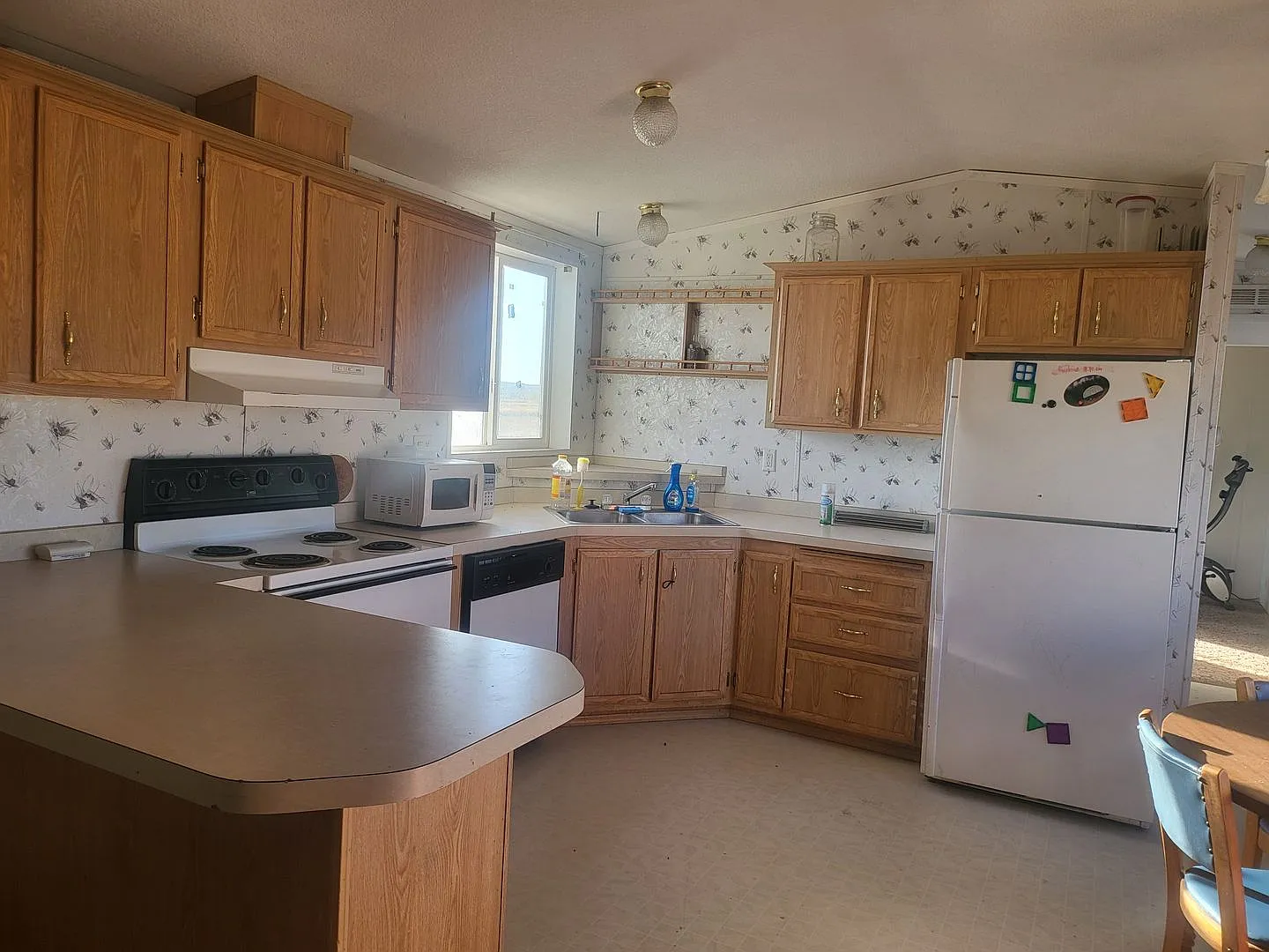 Steele Trailer Court — Photo 2