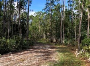 911 Wild Pine Rd, Mims, FL 32754
