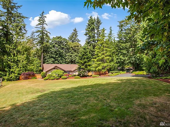 Truly embrace this sunny opening amidst the towering cedars from the Southeast corner of the lot looking back towards the house. 